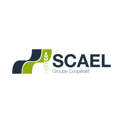scael
