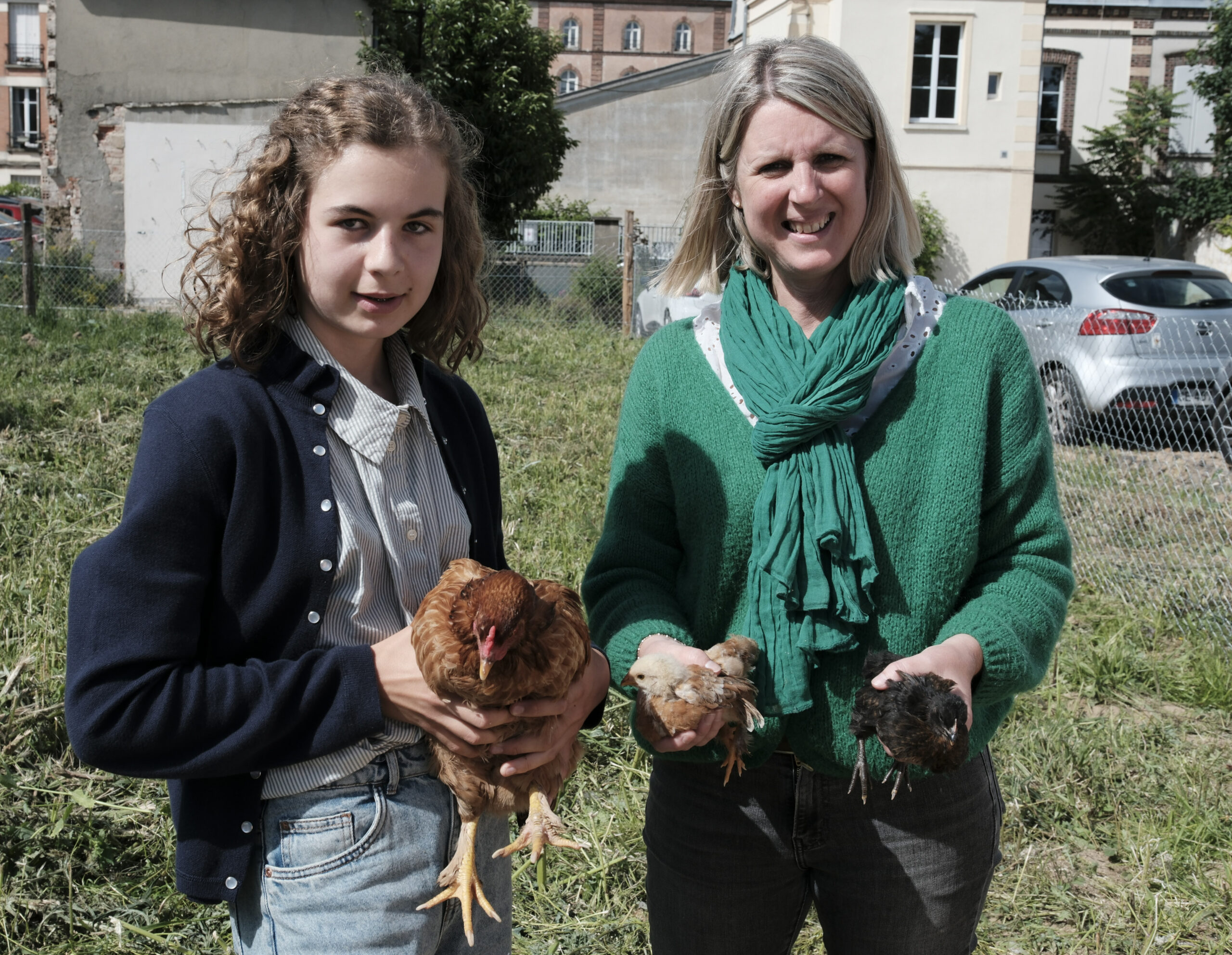 poulailler-pedagogique-ecolesdevies-saint-ferdinand-10